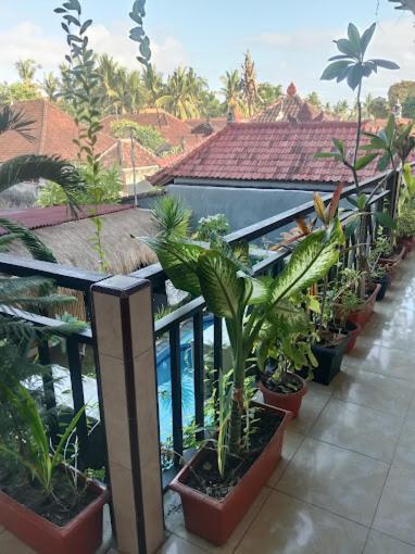 Grace Paradise Guest House Lembongan Zewnętrze zdjęcie